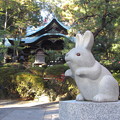 写真: 岡崎神社