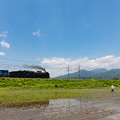 写真: JR上越線　渋川〜敷島