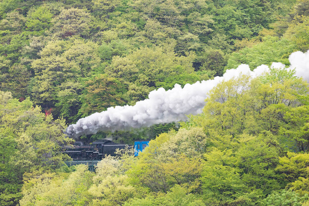 写真: JR釜石線　上有住～足ヶ瀬