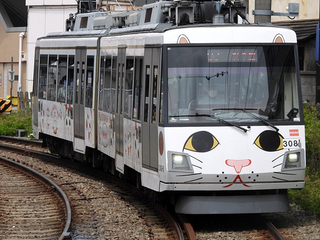 写真: 招き猫電車