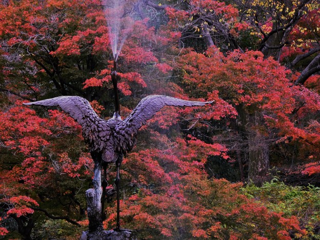 写真: 鶴の噴水と紅葉
