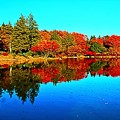 Photos: 紅葉の風景