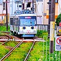 Photos: ニャンコ電車