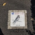 写真: 東京都江戸川区のフタ（健康の道・ツバメ）