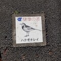 写真: 東京都江戸川区のフタ（健康の道・ハクセキレイ）