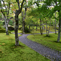 写真: 箱根美術館苔庭