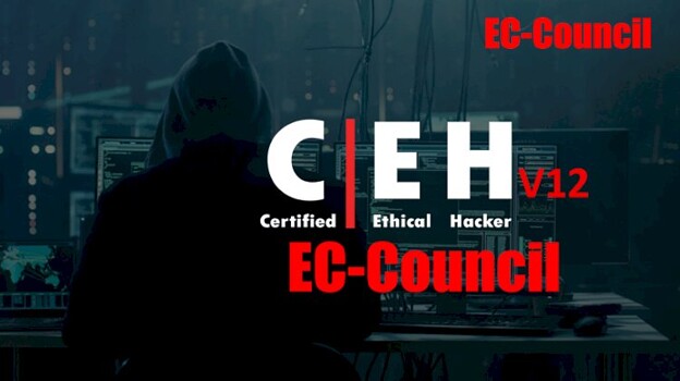 Best Ethical Hacking CEH v12 Training Certification Institute in Pune