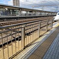 写真: 新幹線入線　小田原駅