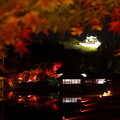 Photos: 秋の庭園n