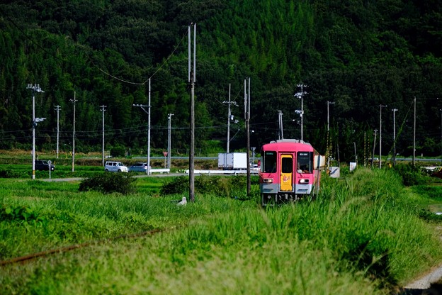 写真: ゆったりとした時間-兵庫県加西市：北条鉄道　長駅