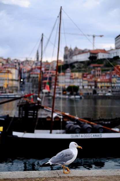 清々しい一日の始まり-Porto, Portugal