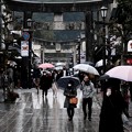 雨の中を参拝-福岡県太宰府市：太宰府天満宮