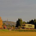 写真: 秋のいすみ鉄道