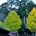 Photos: 大多喜　六所神社を臨む