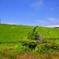 写真: 空と緑と新幹線