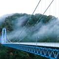 Photos: 龍神大吊り橋1
