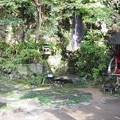 写真: 箕面の滝　道9
