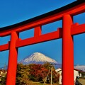 Photos: 富士と鳥居