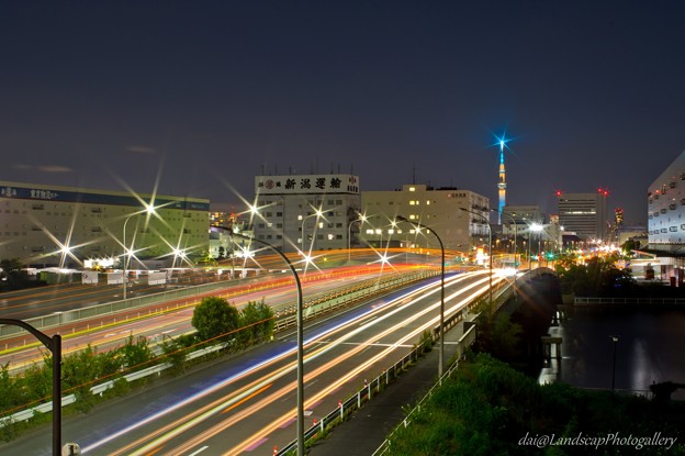 写真: 夜の夢の島大橋と東京スカイツリー