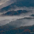 写真: 雨上がりの秋の山並み