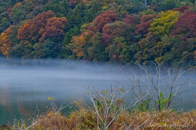 写真: 霧立ち込める秋の島田湖風景