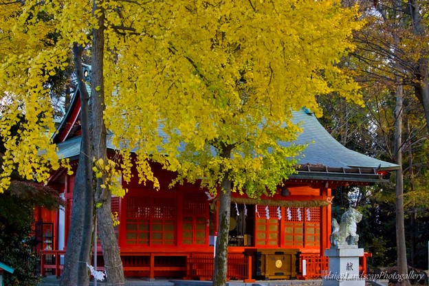 秋の武蔵国一之宮小野神社