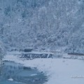 写真: 厳冬の渓谷をゆくワイドビューひだ