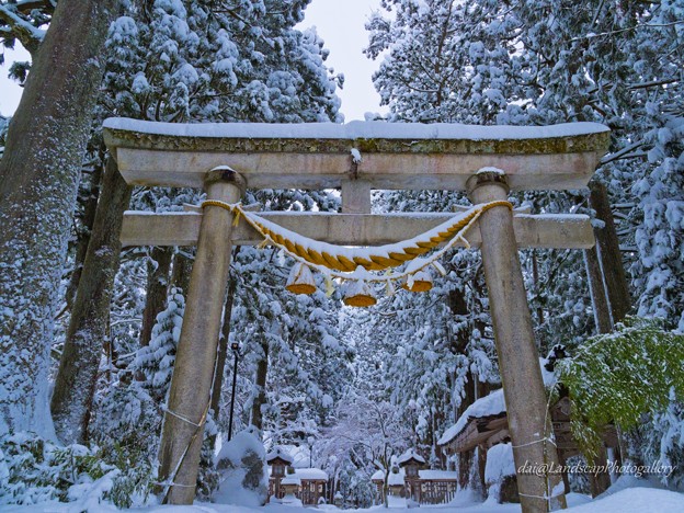 厳冬の芦峅雄山神社