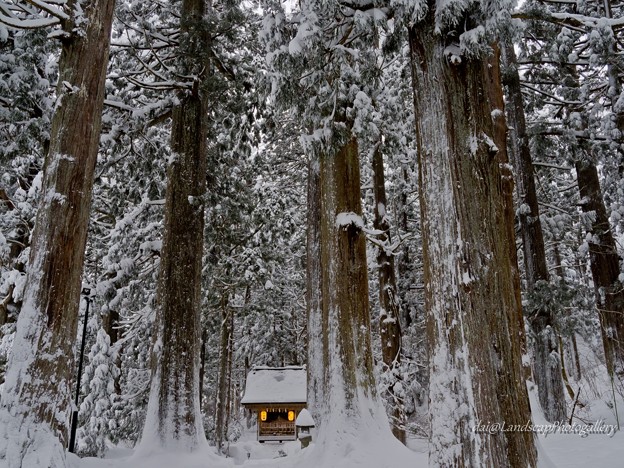 写真: 厳冬の芦峅雄山神社