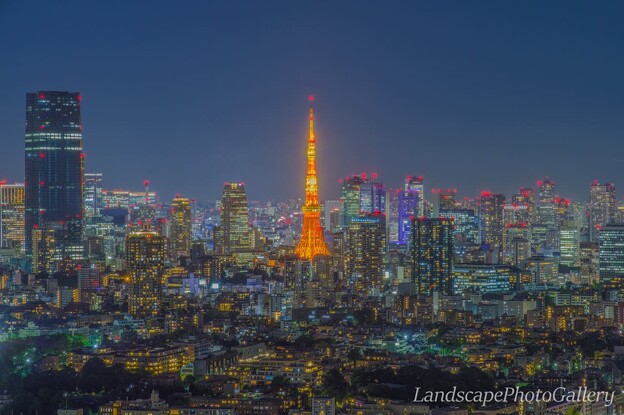 夜の恵比寿ガーデンプレイスタワーより東京タワーを望む
