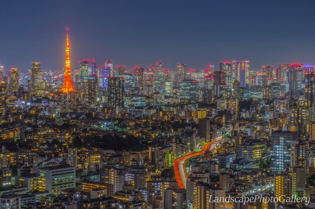 夜の恵比寿ガーデンプレイスタワーより東京タワーを望む