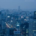 写真: 薄暮の大阪夜景