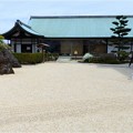 清洲城の桜 (19)