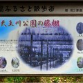 天王川公園 (40)