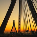 写真: twilight  bridge（ピックアップ）