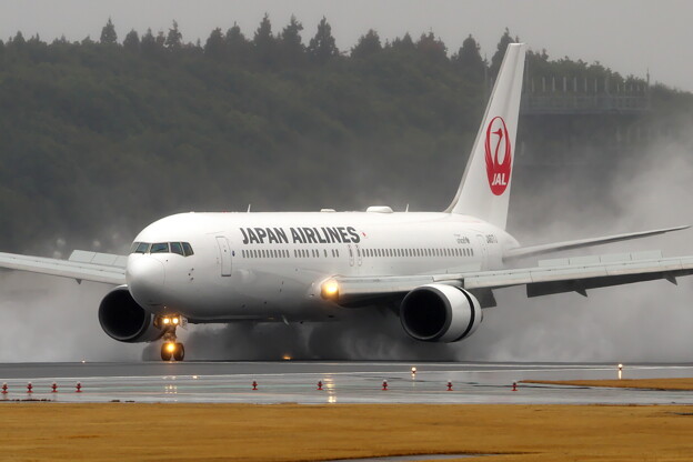 写真: Japan Airlines - JAL