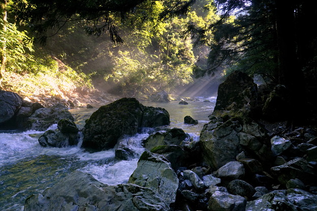 写真: 円原川の光芒-3