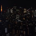 写真: 船堀ﾀﾜｰ夜景