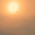 写真: 夕陽飛行機