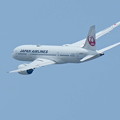 Photos: 大空へ JAL Boeing 787-8 Dreamliner