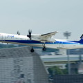Photos: 大空へ　ANAウイングス Bombardier DHC-8-400