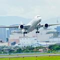 写真: 大空へ　JAL A350-900