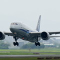 Photos: 全日空　Boeing 787-8 Dreamliner