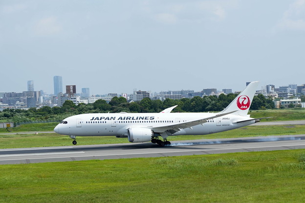 日本航空　Boeing 787-8 Dreamliner