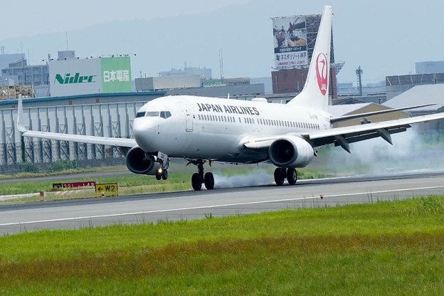 日本航空　Boeing  737-800
