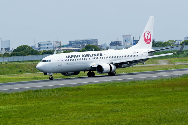 日本航空　Boeing 737-800