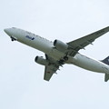 写真: 全日空 特別塗装機 スターアライアンス Boeing 737-800