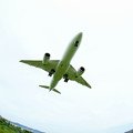 写真: 日本航空 Boeing 787-8 Dreamliner