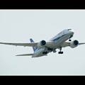 Photos: 全日空 Boeing 787-8 Dreamliner