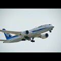 全日空 787-8 Dreamliner   JA831A